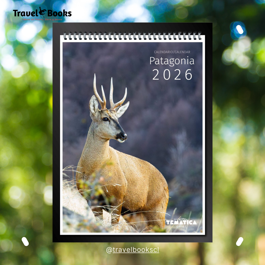 Calendario Mural Patagonia Chile 2026