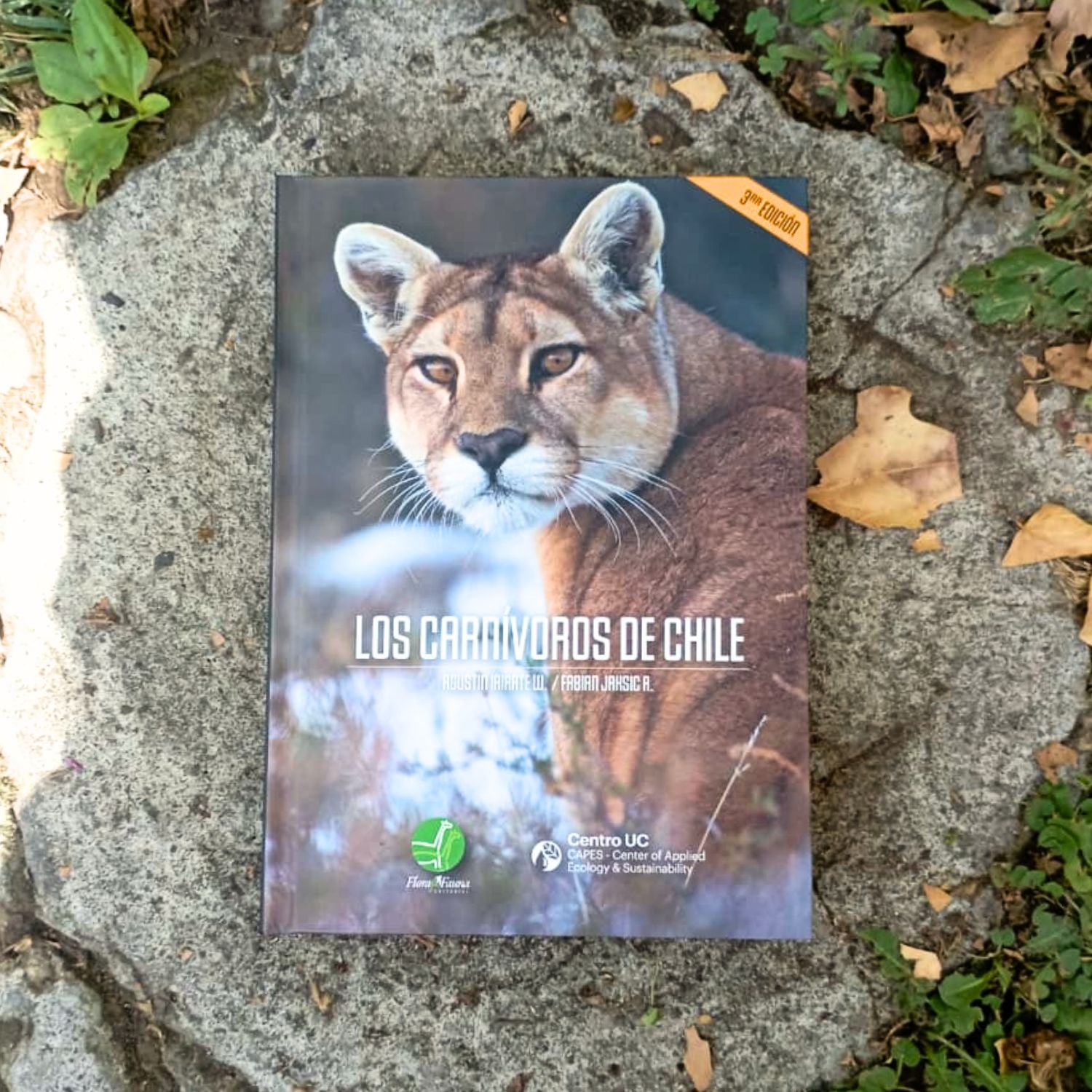 Los Carnívoros de Chile Tercera Edición (Tapa Dura)