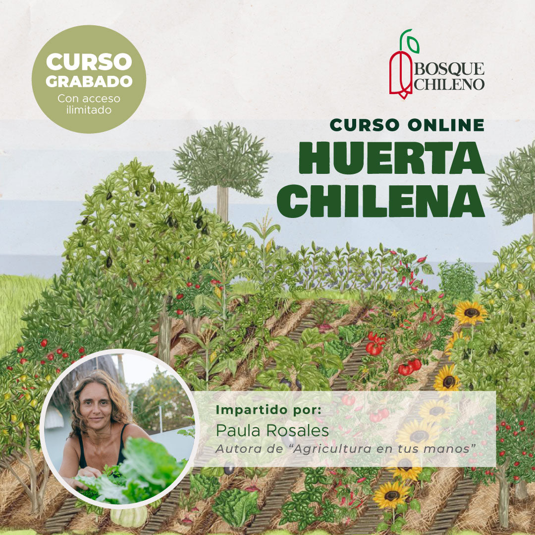 Curso digital: Huerta Chilena