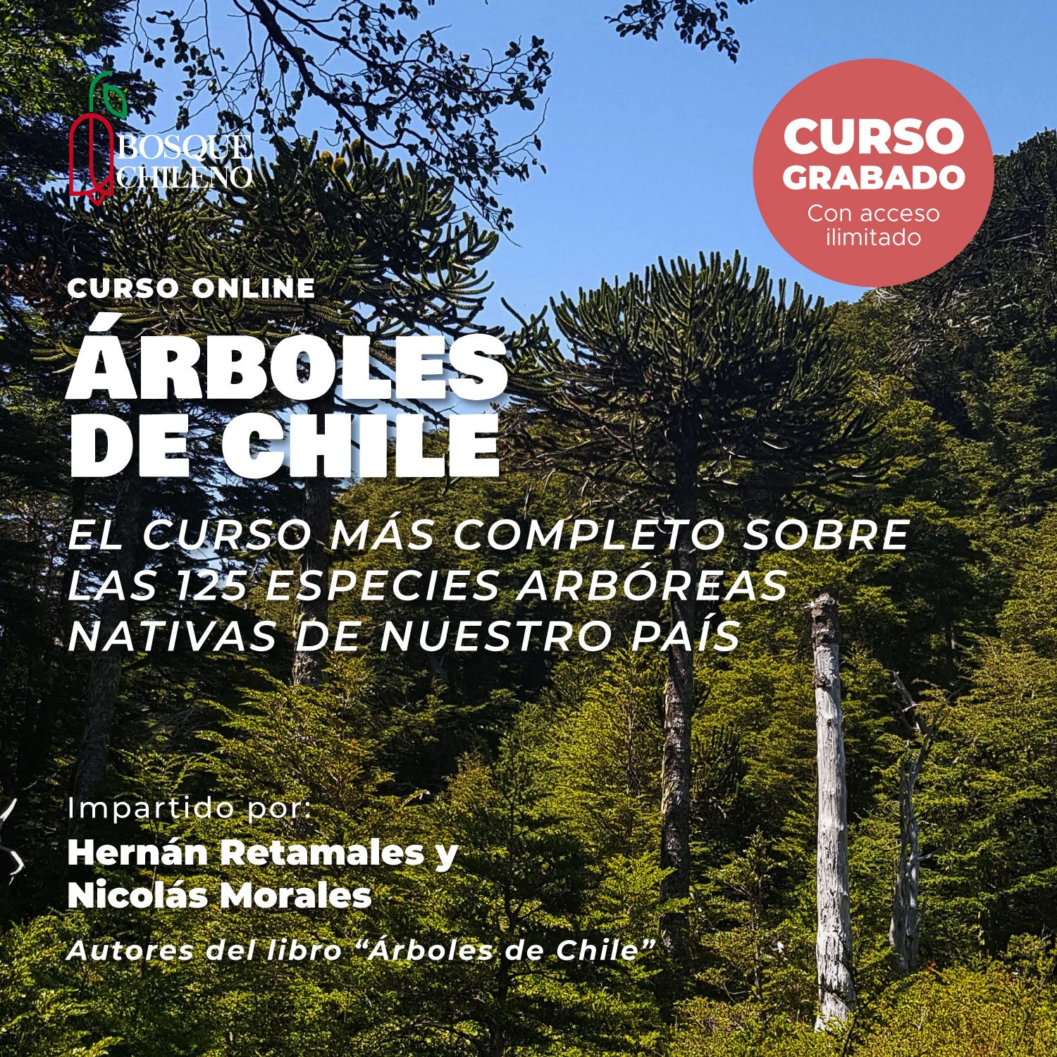 Pack Libro tapa dura + Curso Árboles de Chile