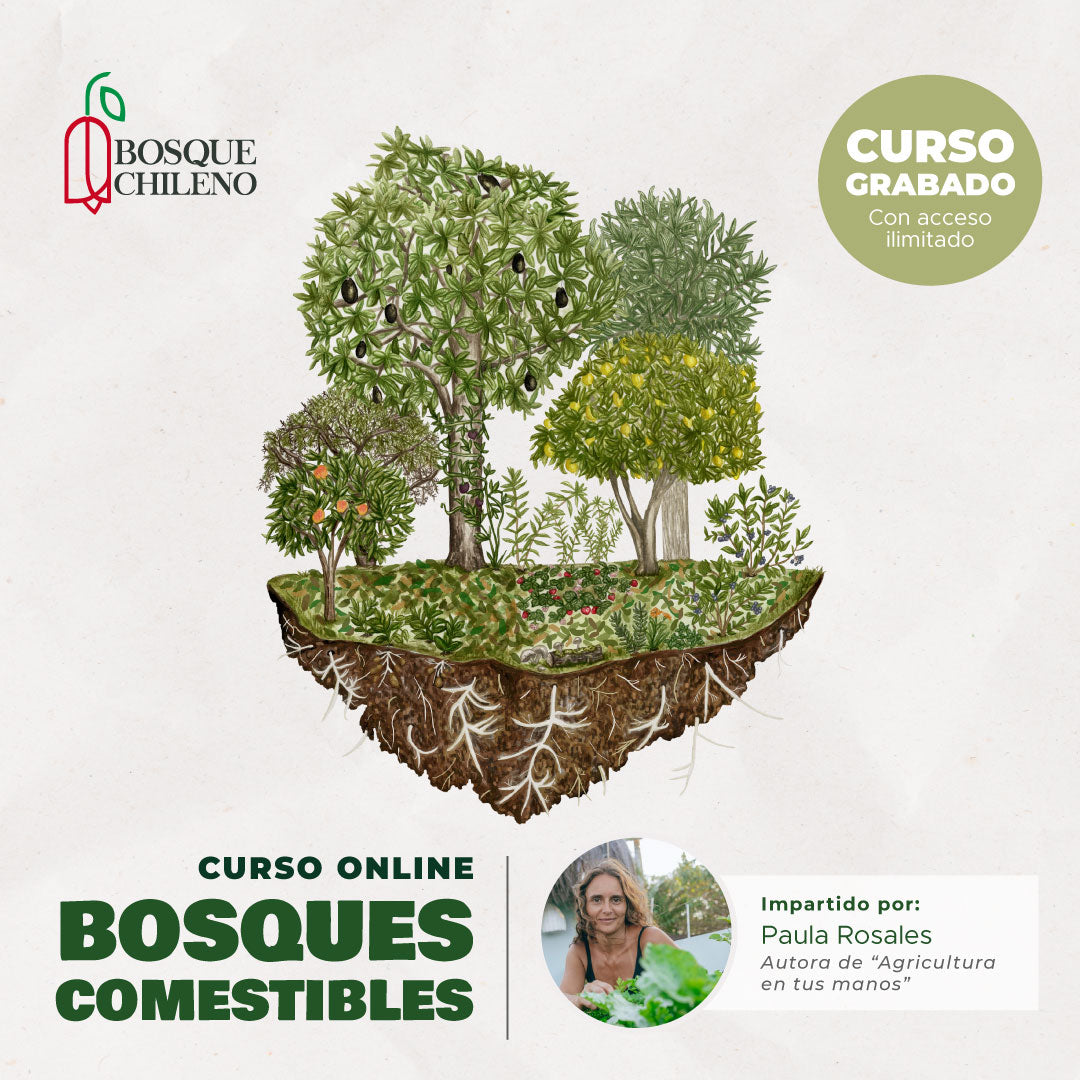 Curso digital: Bosques comestibles