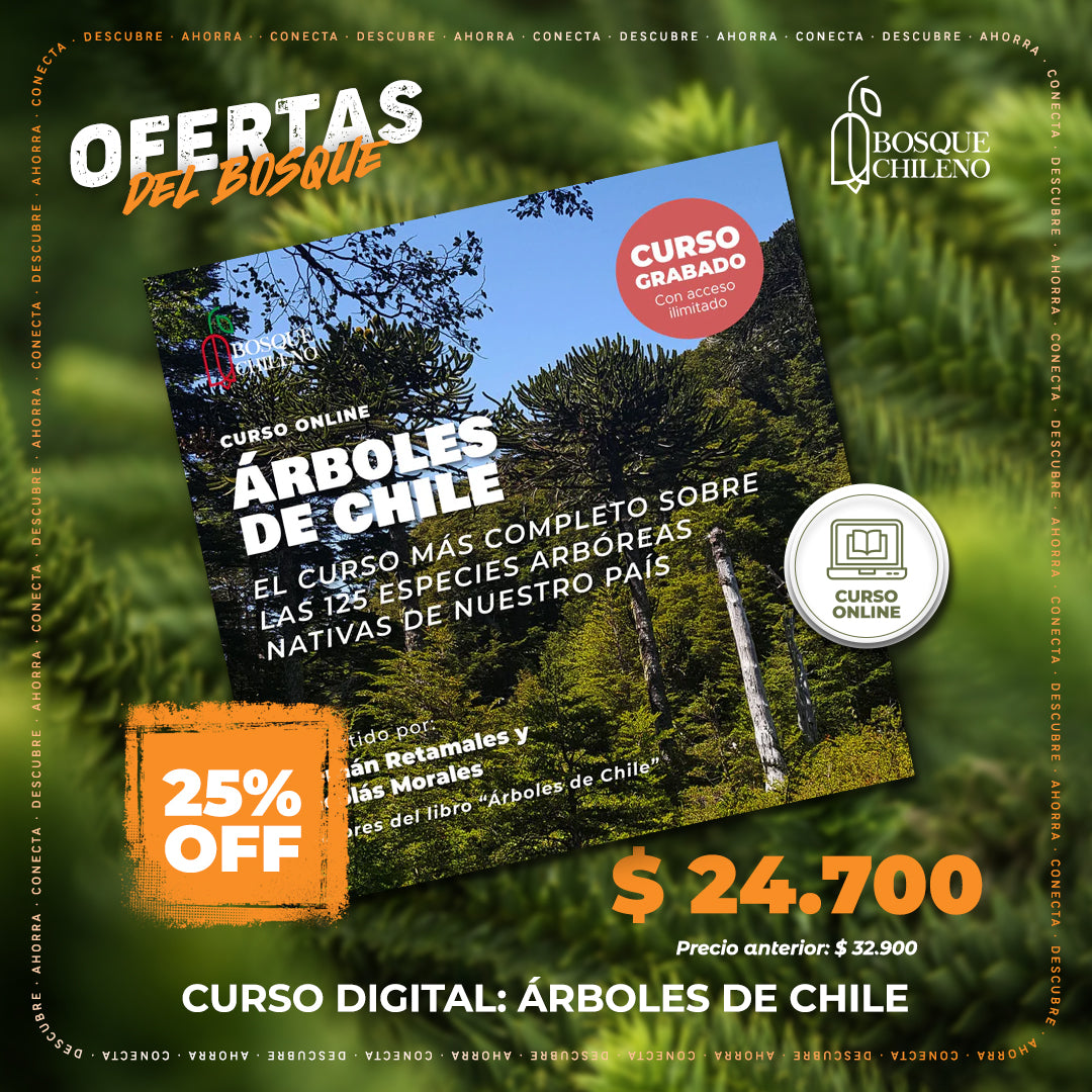 Curso digital: Árboles de Chile