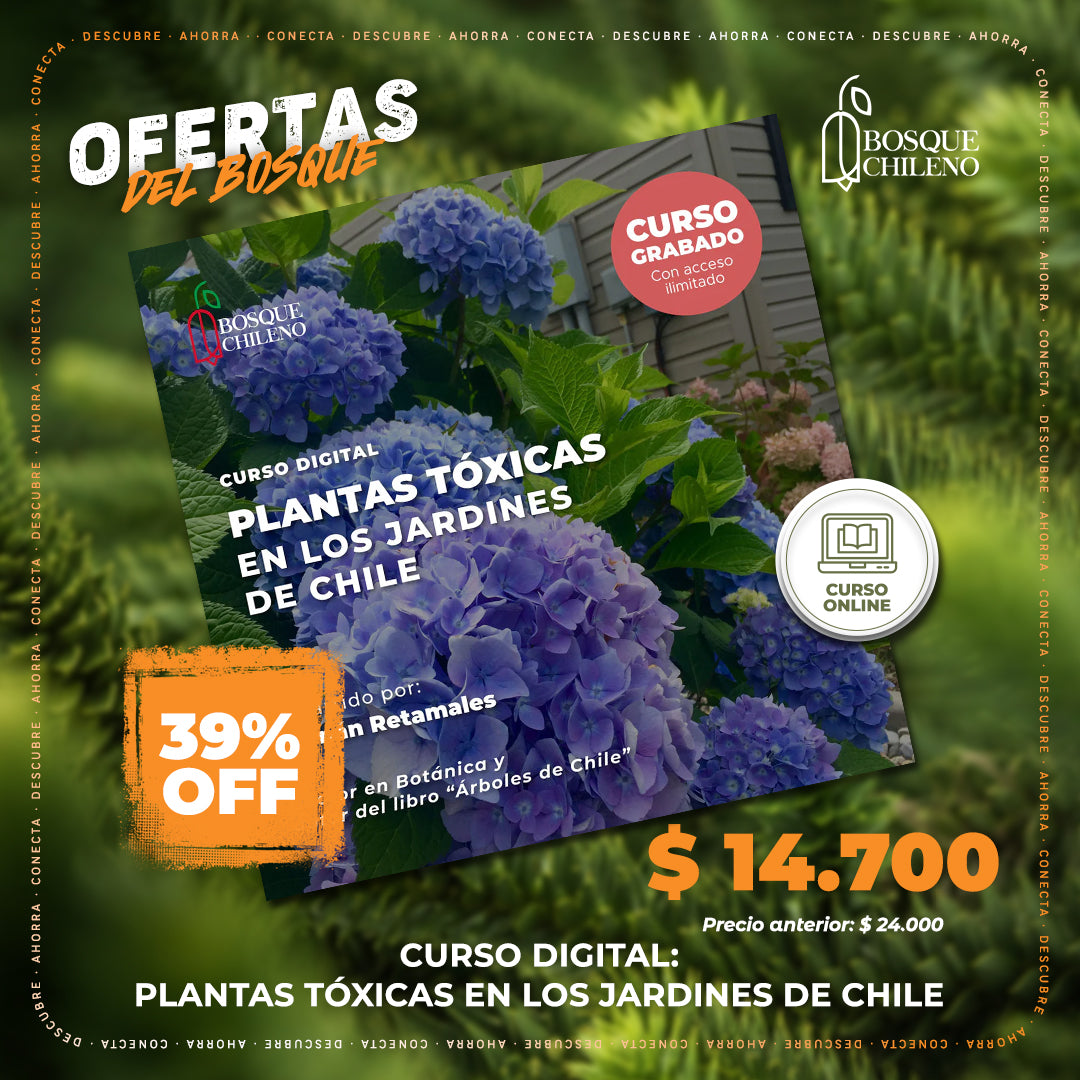 Curso digital: Plantas tóxicas en los jardines de Chile