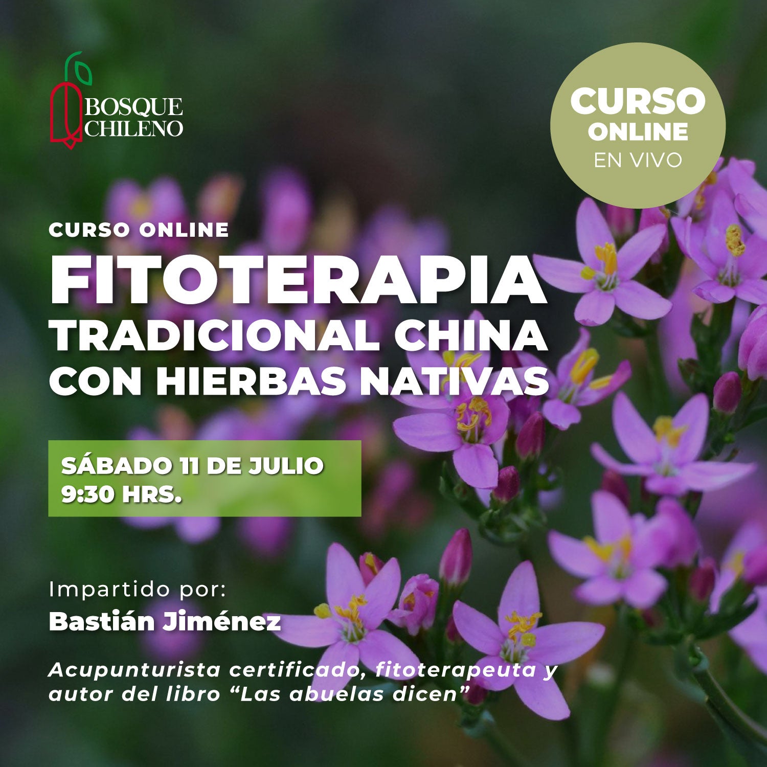Curso online: Fitoterapia tradicional China con hierbas nativas
