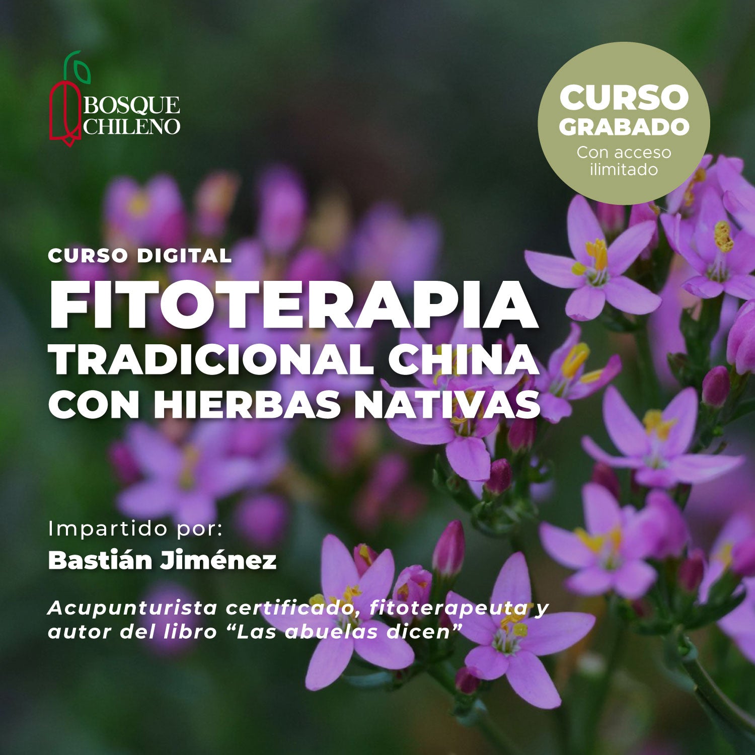 Curso digital: Fitoterapia tradicional China con hierbas nativas
