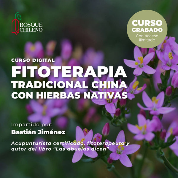 Curso Fitoterapia tradicional con hierbas nativas