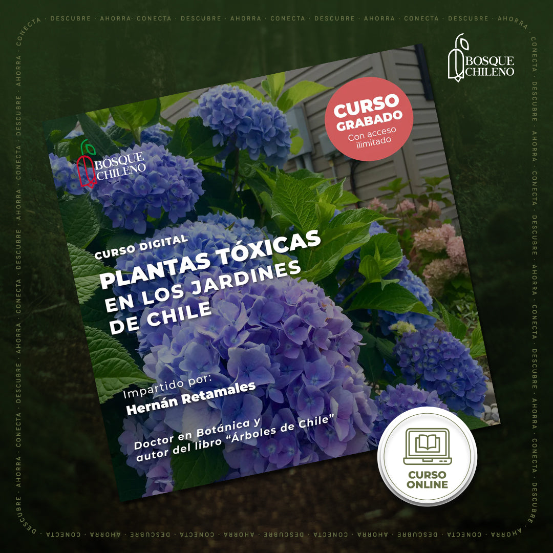 Curso digital: Plantas tóxicas en los jardines de Chile