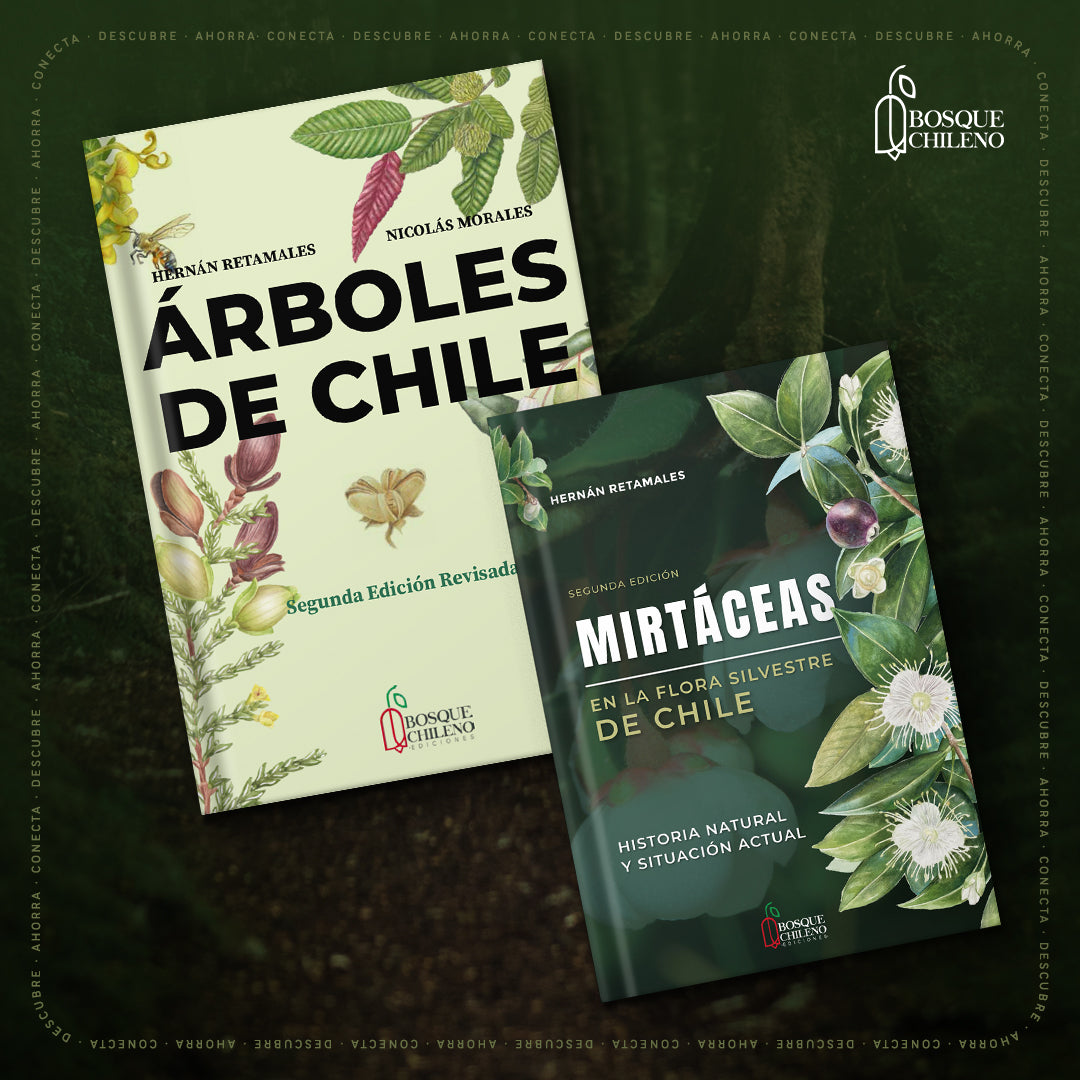 Pack Bosque Raíz