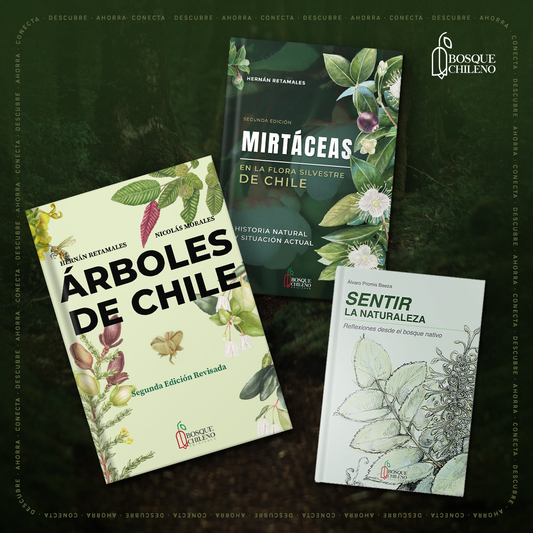 Pack Cyber Bosque - Endémico