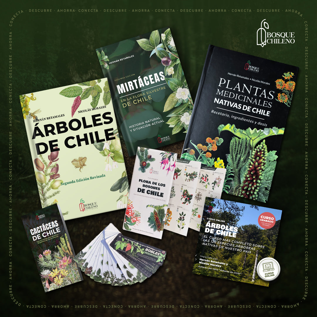 Megapack Bosque Milenario
