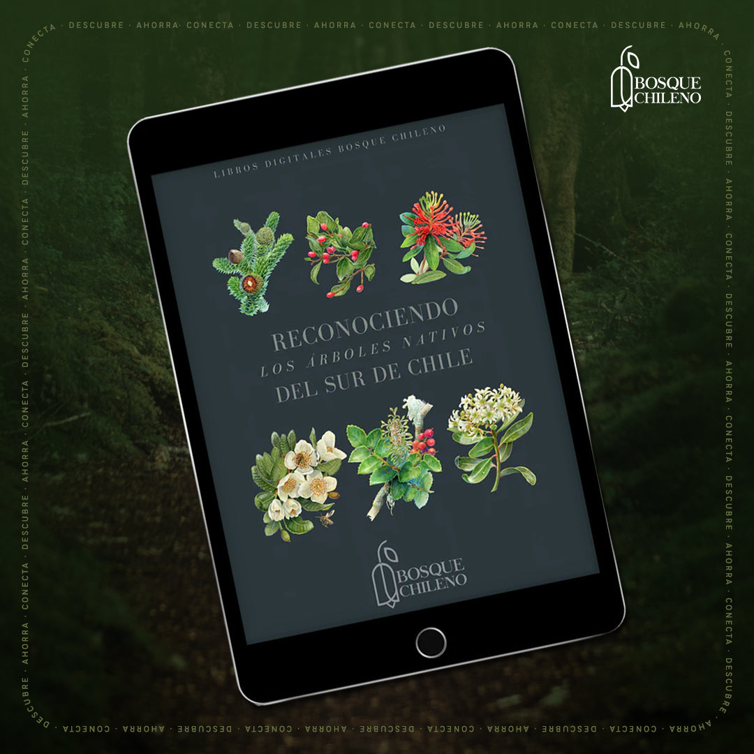 Ebook - Reconociendo los árboles del sur de Chile