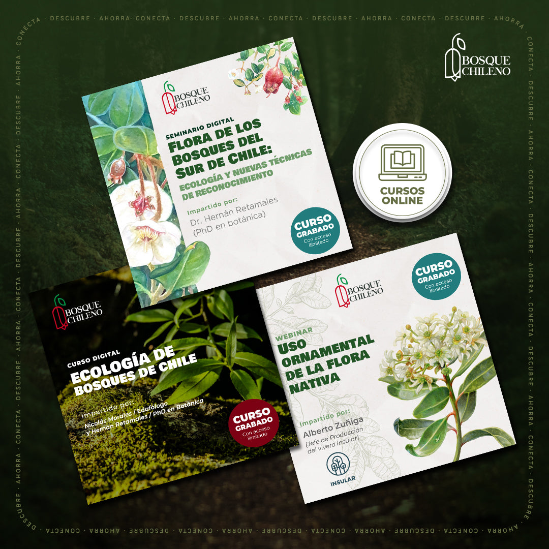 Pack de cursos digitales: Flora y bosques de Chile