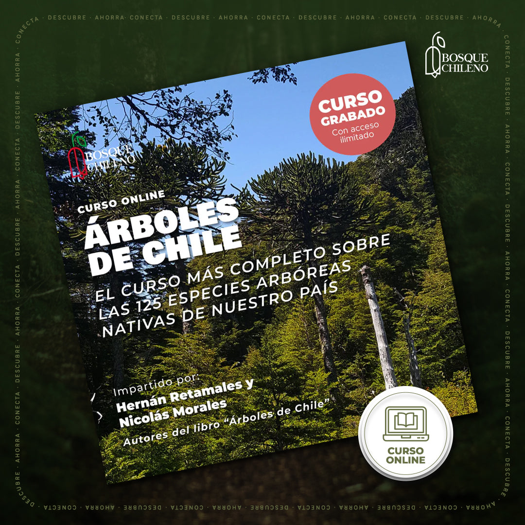 Curso digital: Árboles de Chile