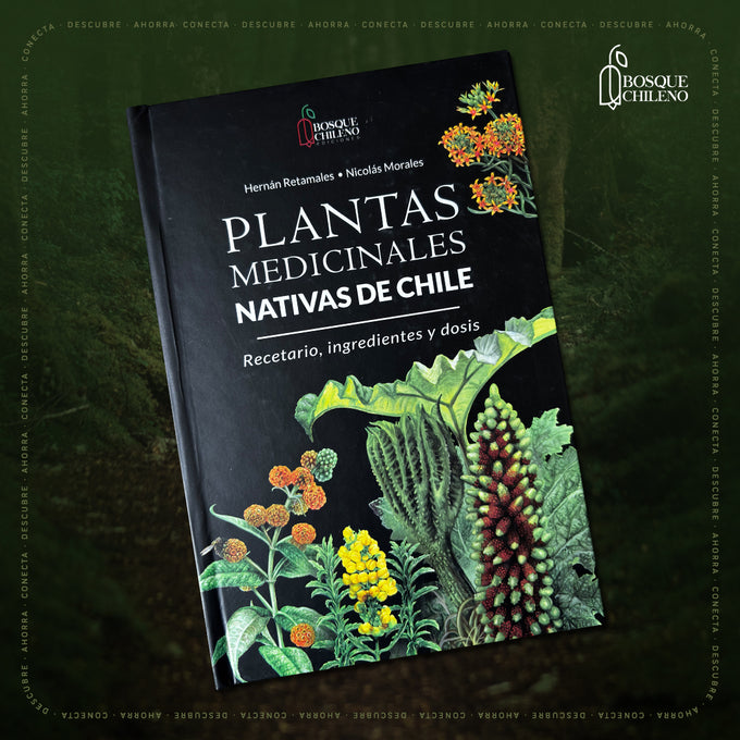 Plantas medicinales nativas de Chile