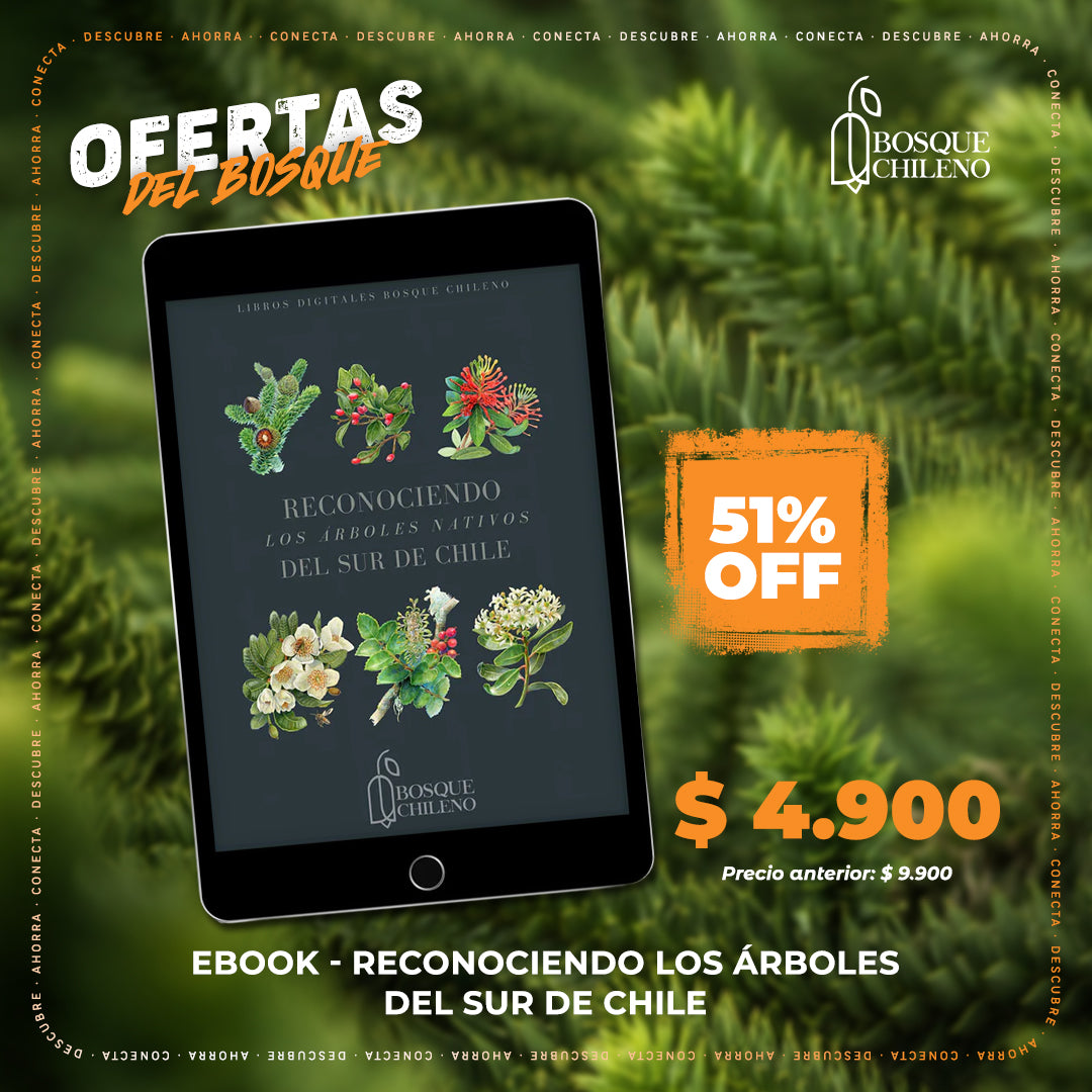 Ebook - Reconociendo los árboles del sur de Chile