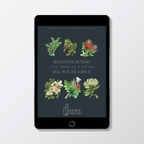 Ebook Reconociendo los árboles del sur de Chile