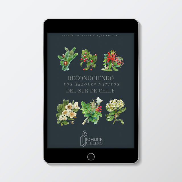 Ebook - Reconociendo los árboles del sur de Chile
