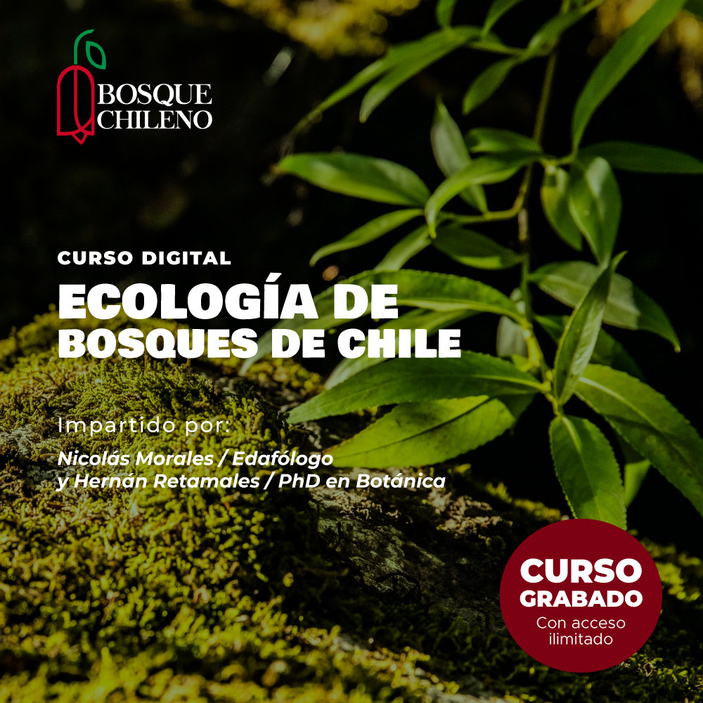 Curso digital: Ecología de bosques de Chile