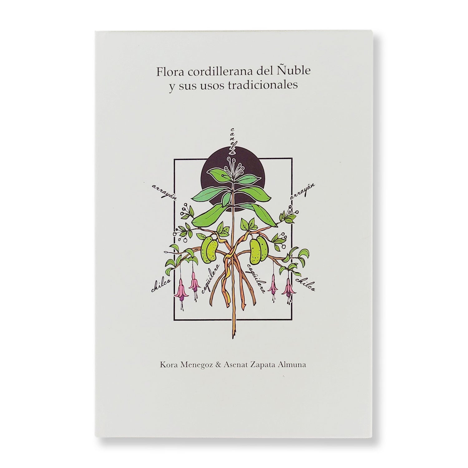 Flora cordillerana del Ñuble y sus usos tradicionales – Bosquechileno