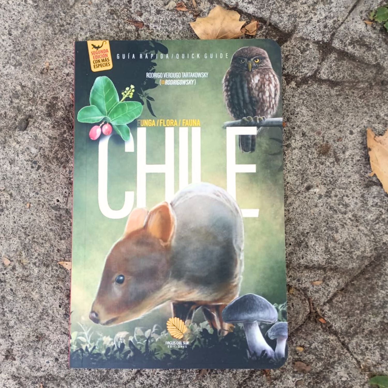 Guía de Chile: Funga, Flora y Fauna (Español-Inglés)