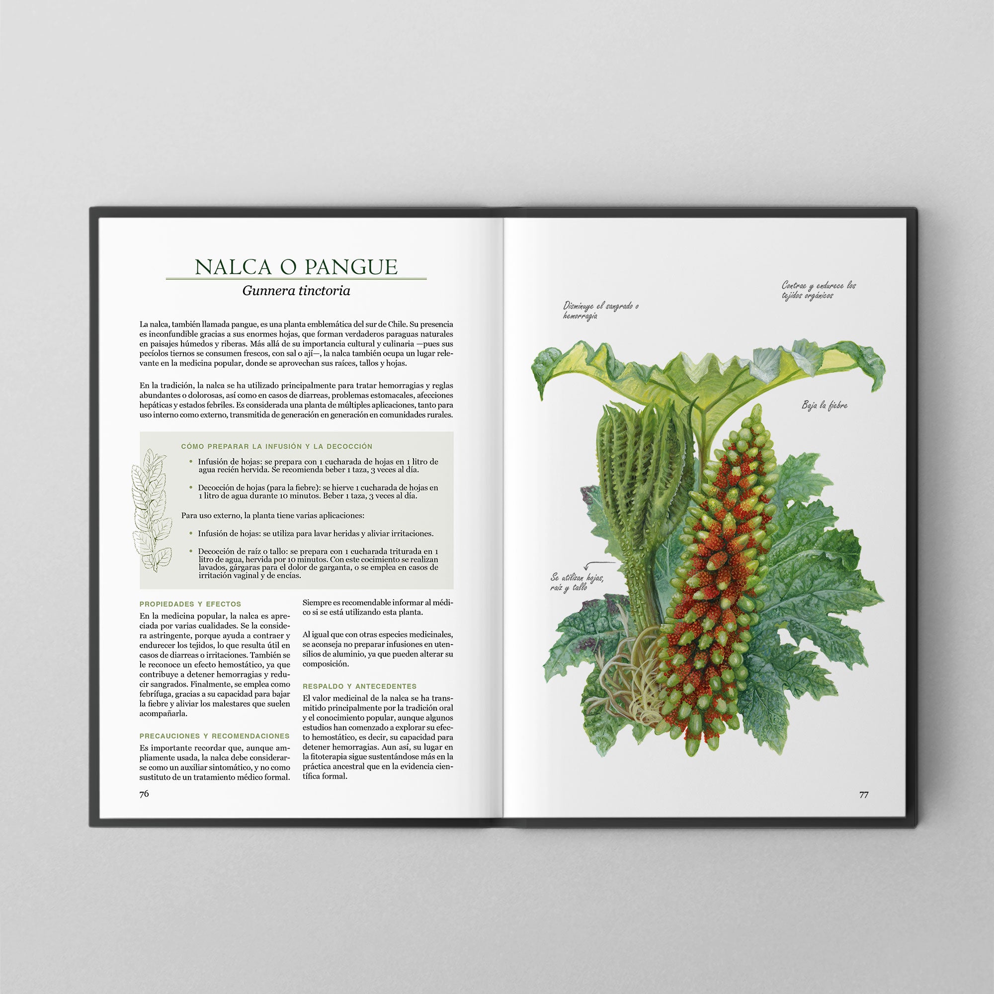 Plantas medicinales nativas de Chile (PREVENTA)