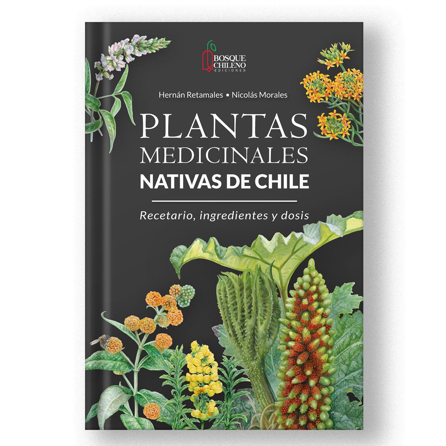 Plantas medicinales nativas de Chile (PREVENTA)