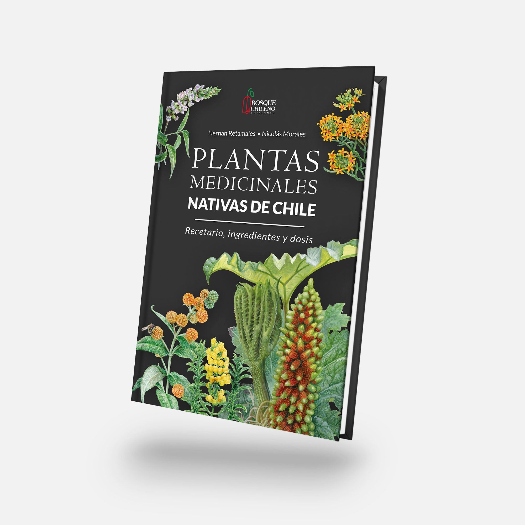 Plantas medicinales nativas de Chile (PREVENTA)