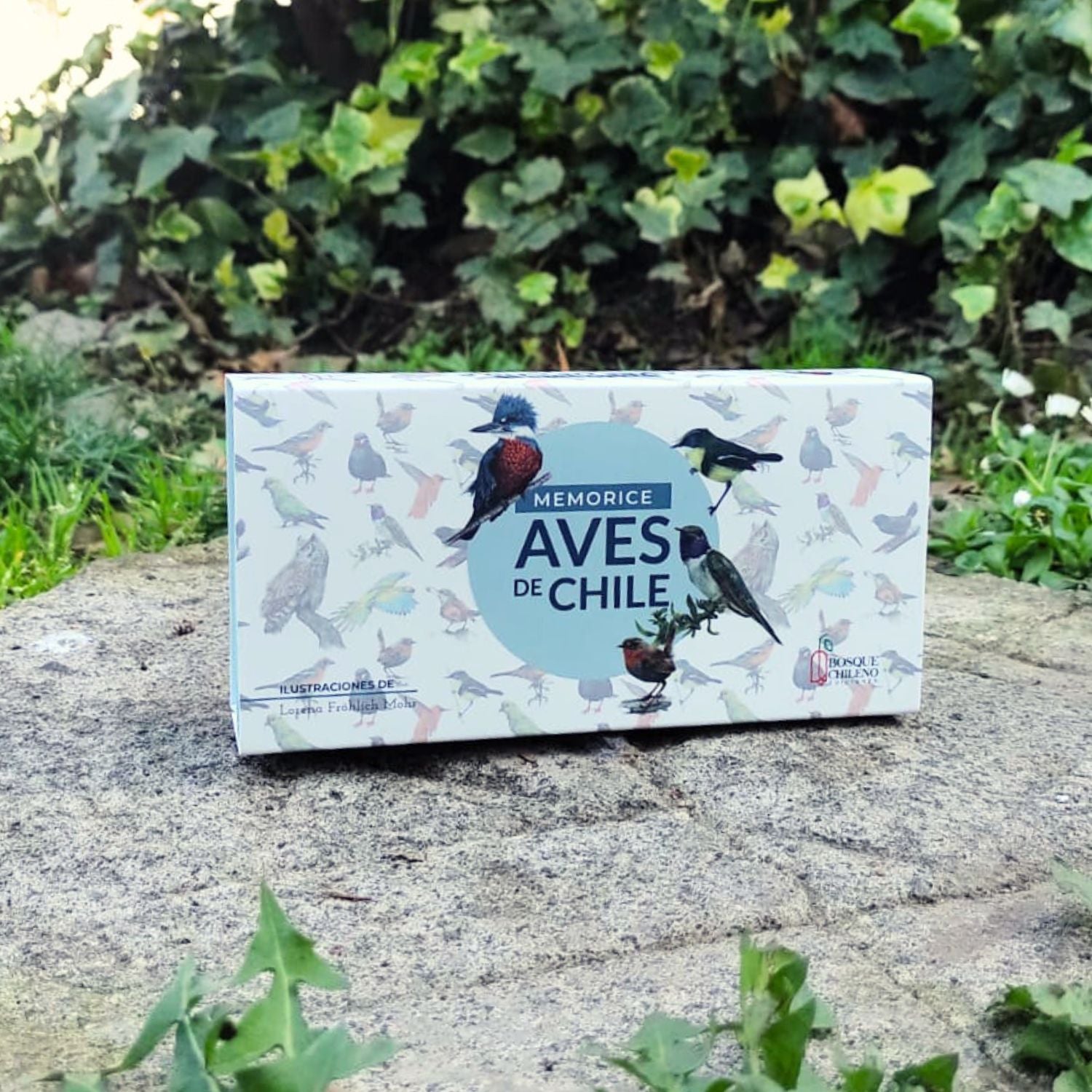 Pack Avifauna Kids