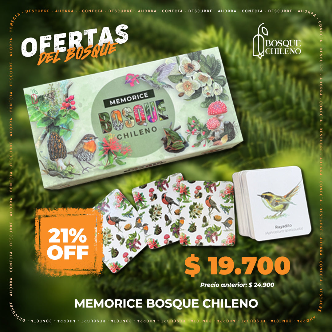 Memorice Bosque Chileno