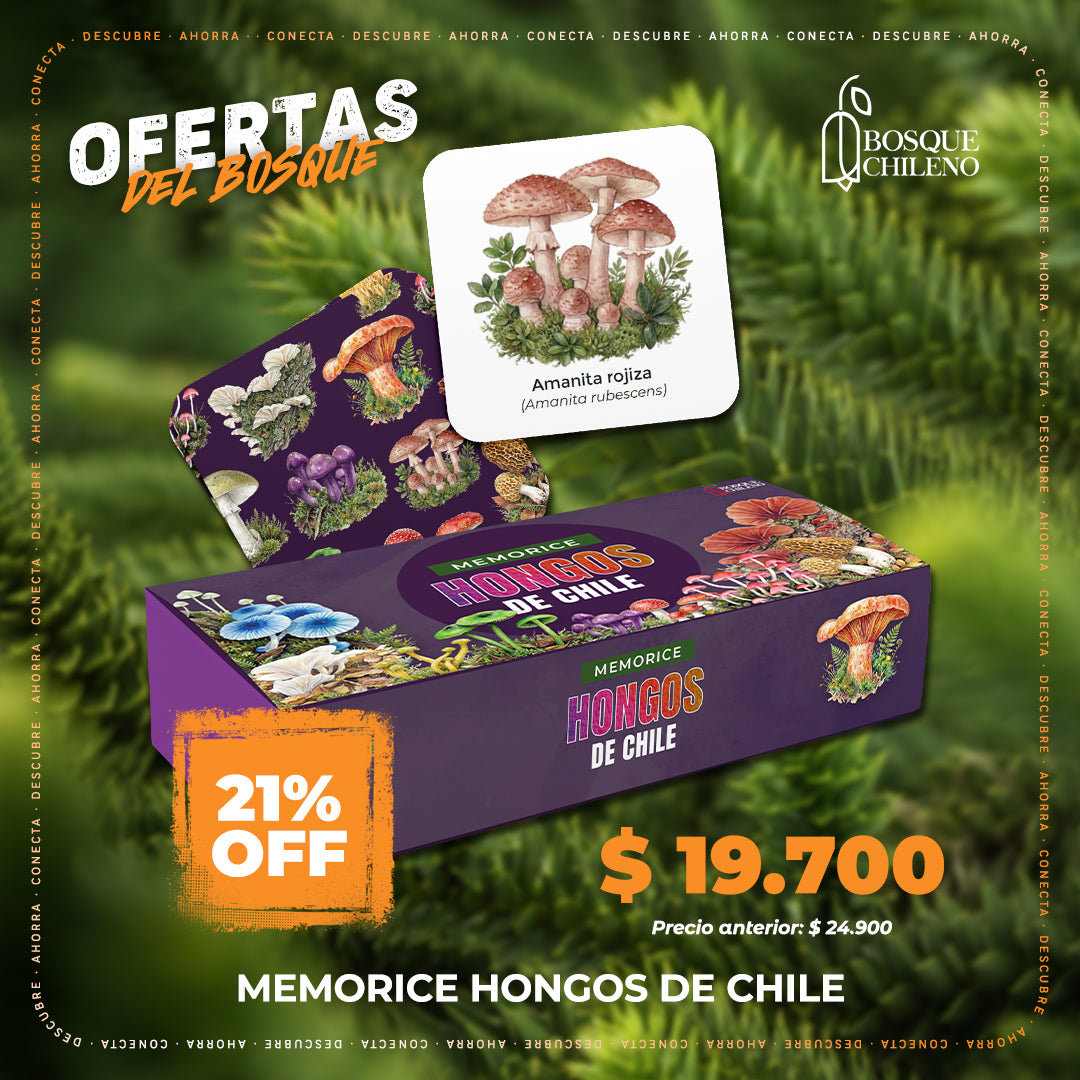 Memorice Hongos Bosque Chileno