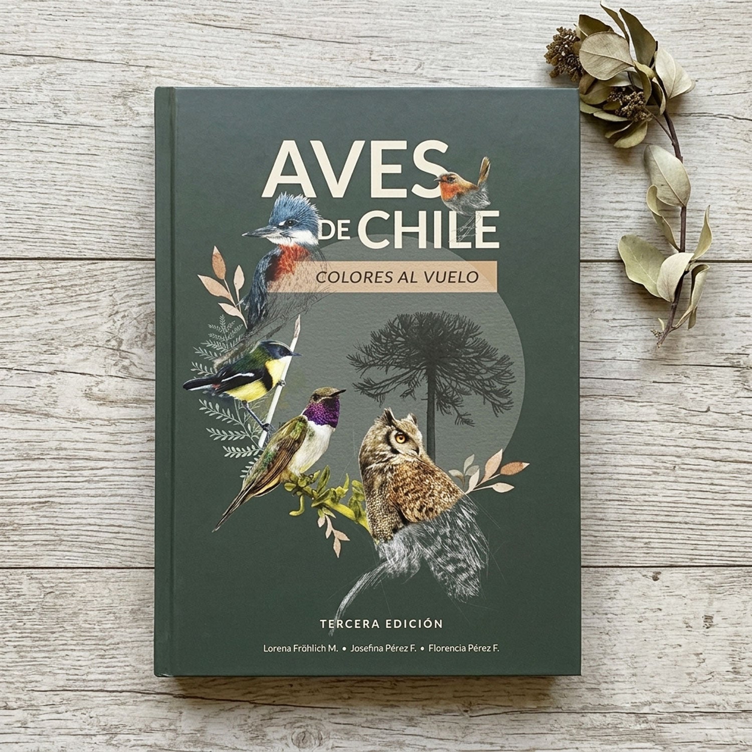 Libro Aves de Chile: Colores al vuelo, tercera edición