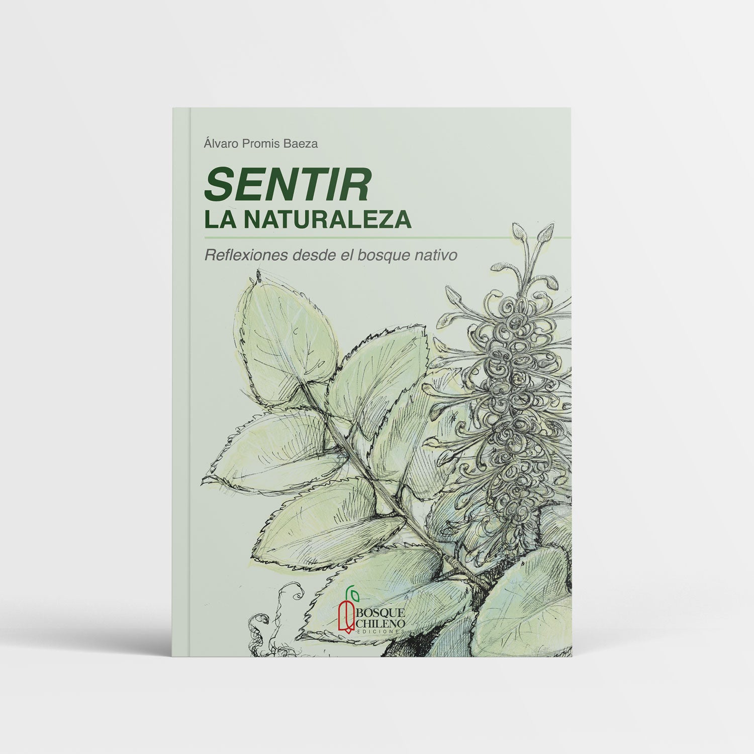 Sentir la Naturaleza: Reflexiones desde el bosque nativo