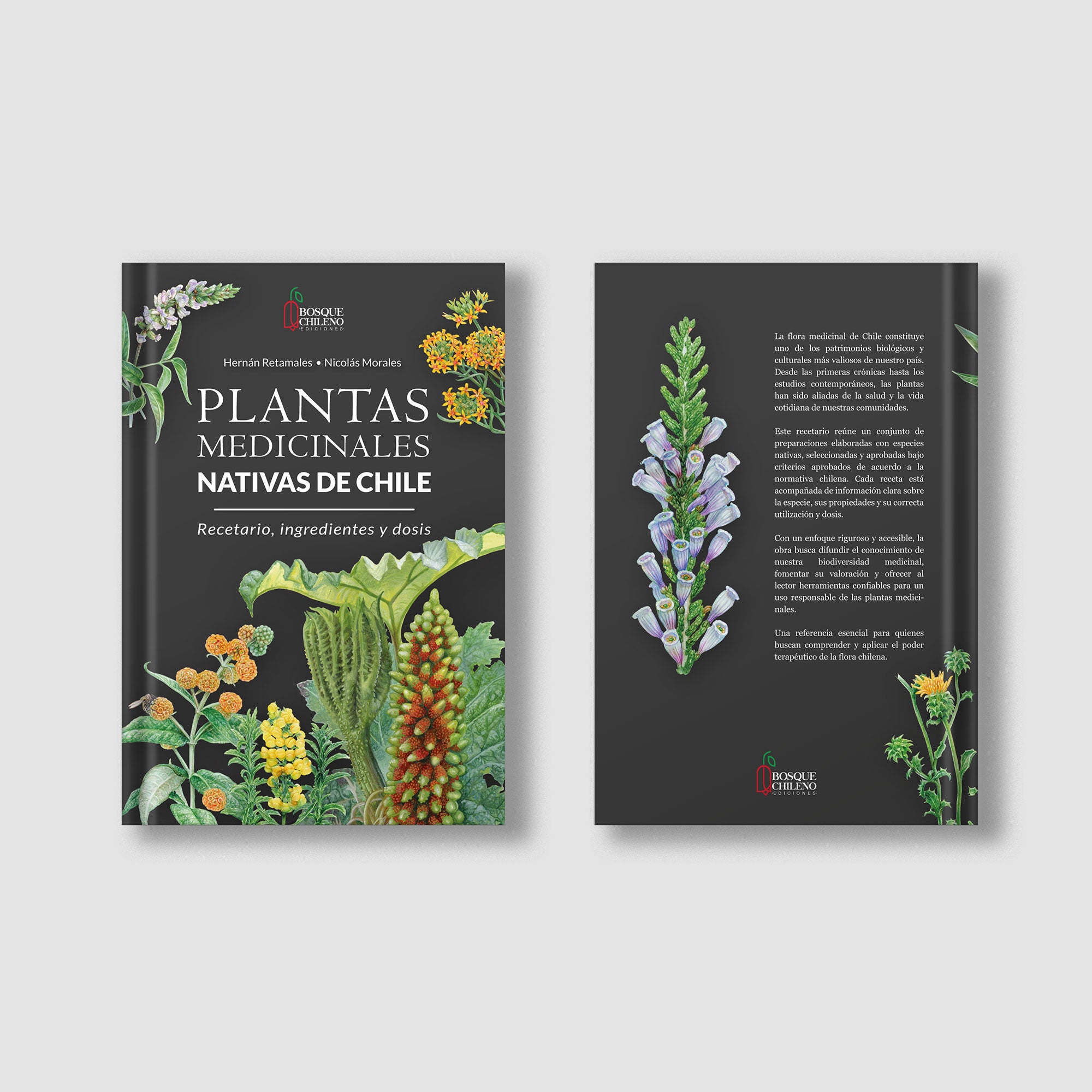 Plantas medicinales nativas de Chile (PREVENTA)
