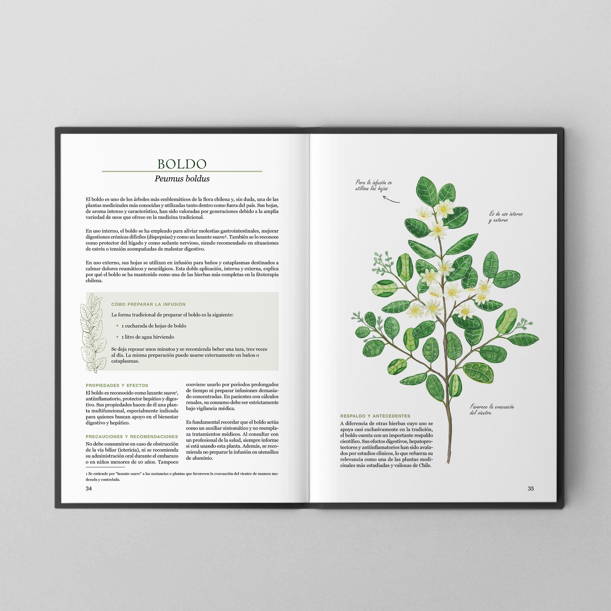 Plantas medicinales nativas de Chile (PREVENTA)