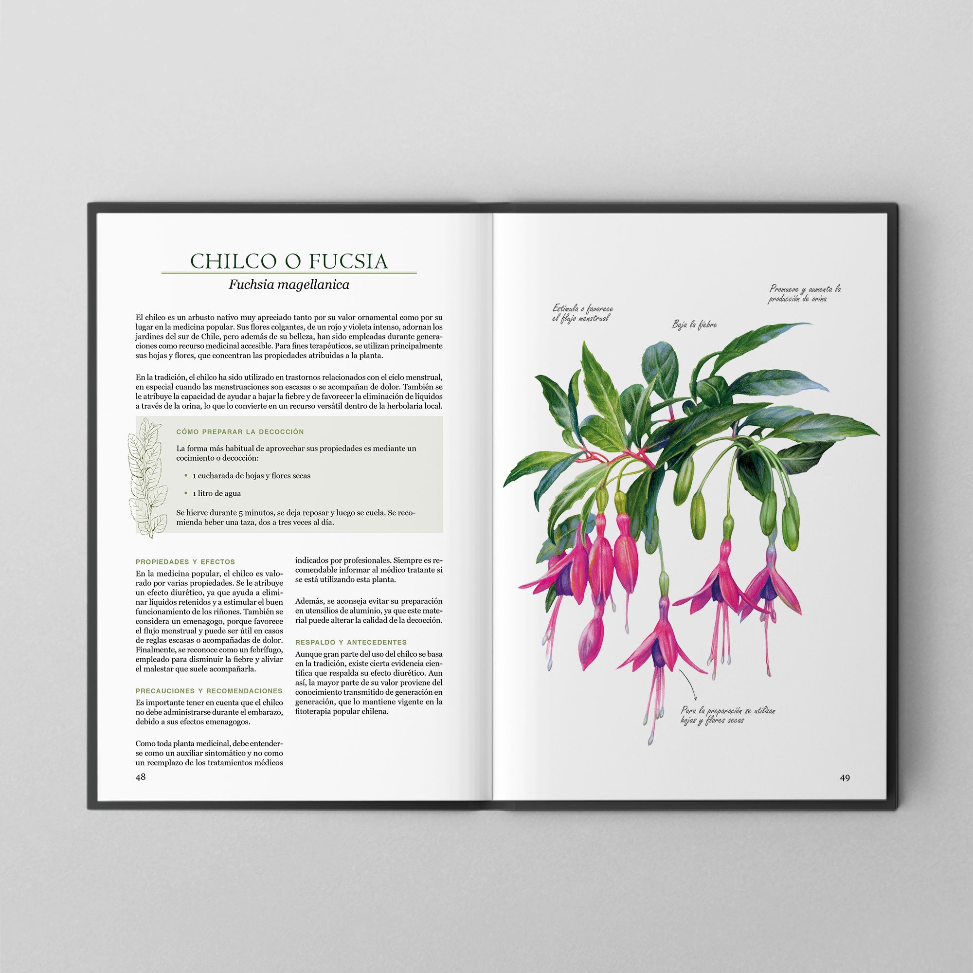 Plantas medicinales nativas de Chile (PREVENTA)