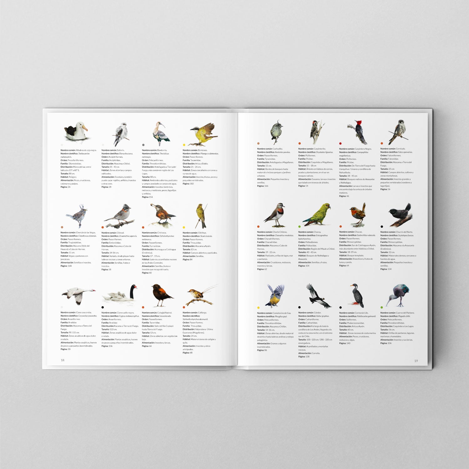 Pack Avifauna Chilena