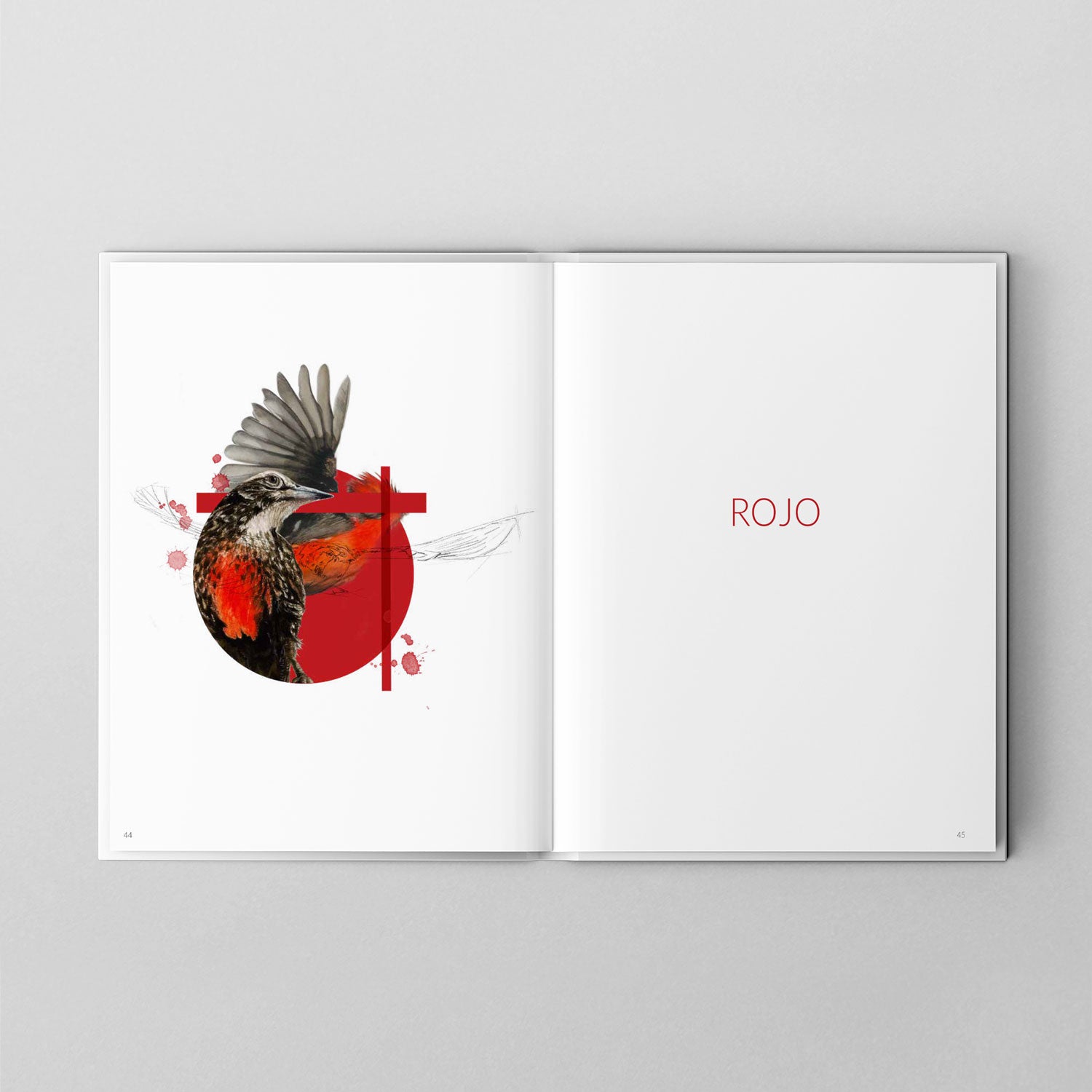 Aves de Chile: Colores al vuelo - Segunda edición