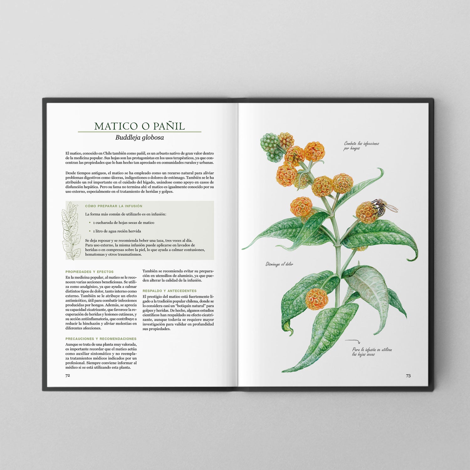 Plantas medicinales nativas de Chile (PREVENTA)