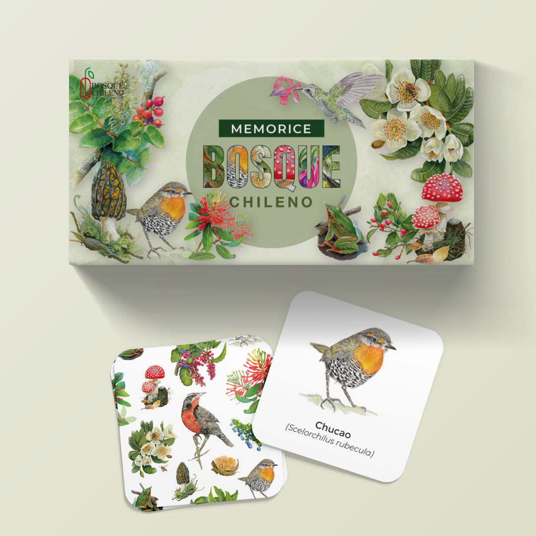 Pack arte nativo