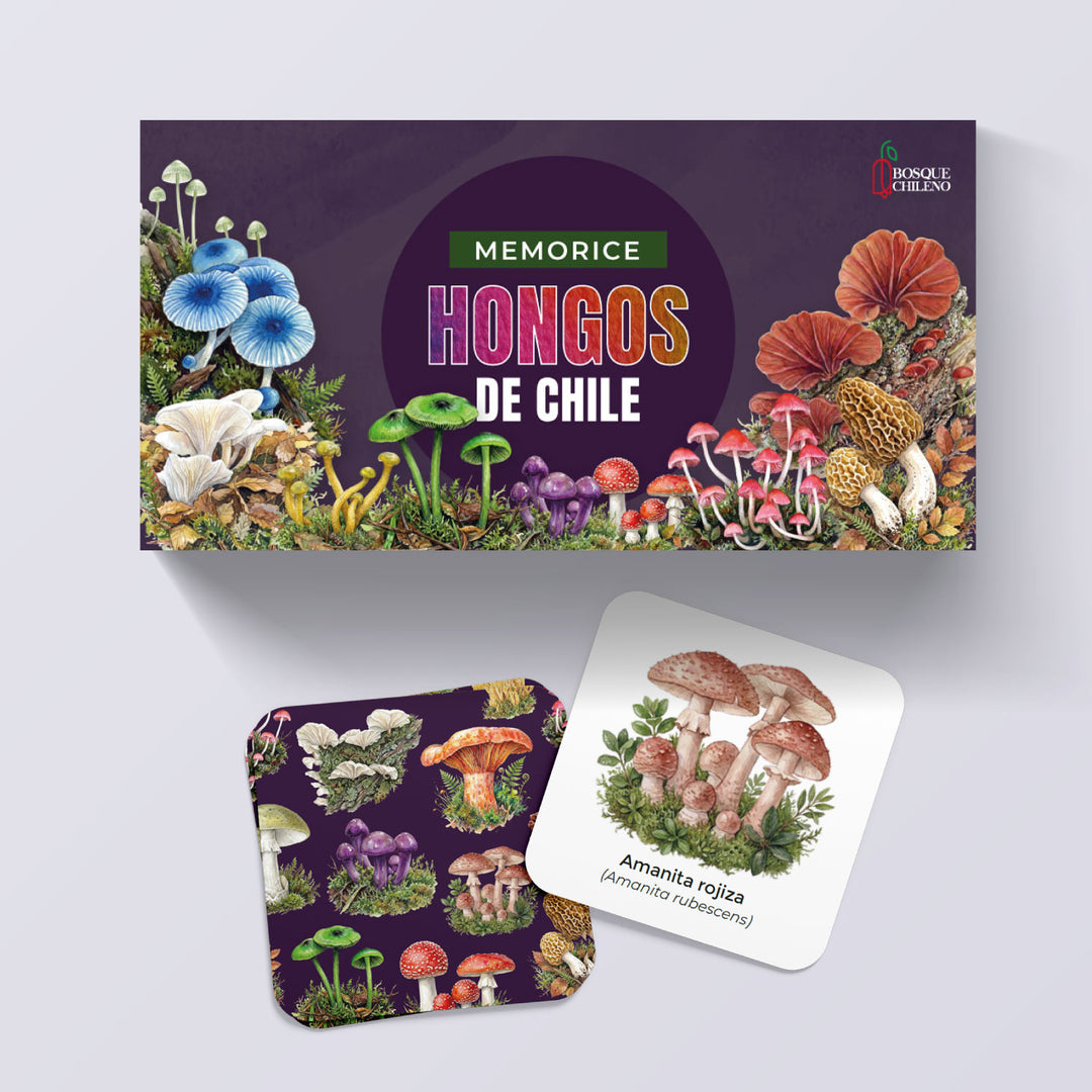 Memorice Hongos Bosque Chileno