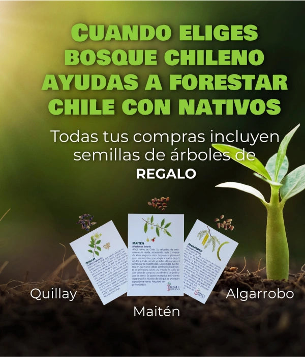 Ayuda a reforestar los bosque chilenos con cada compra