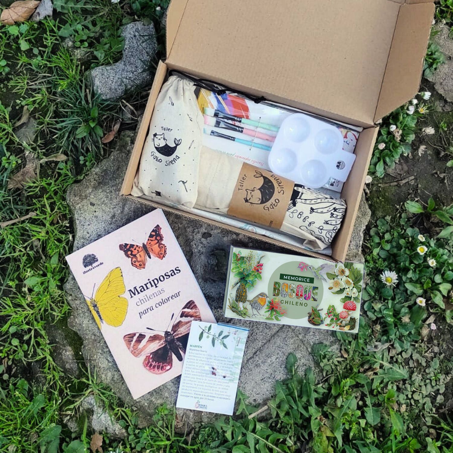 Pack arte nativo