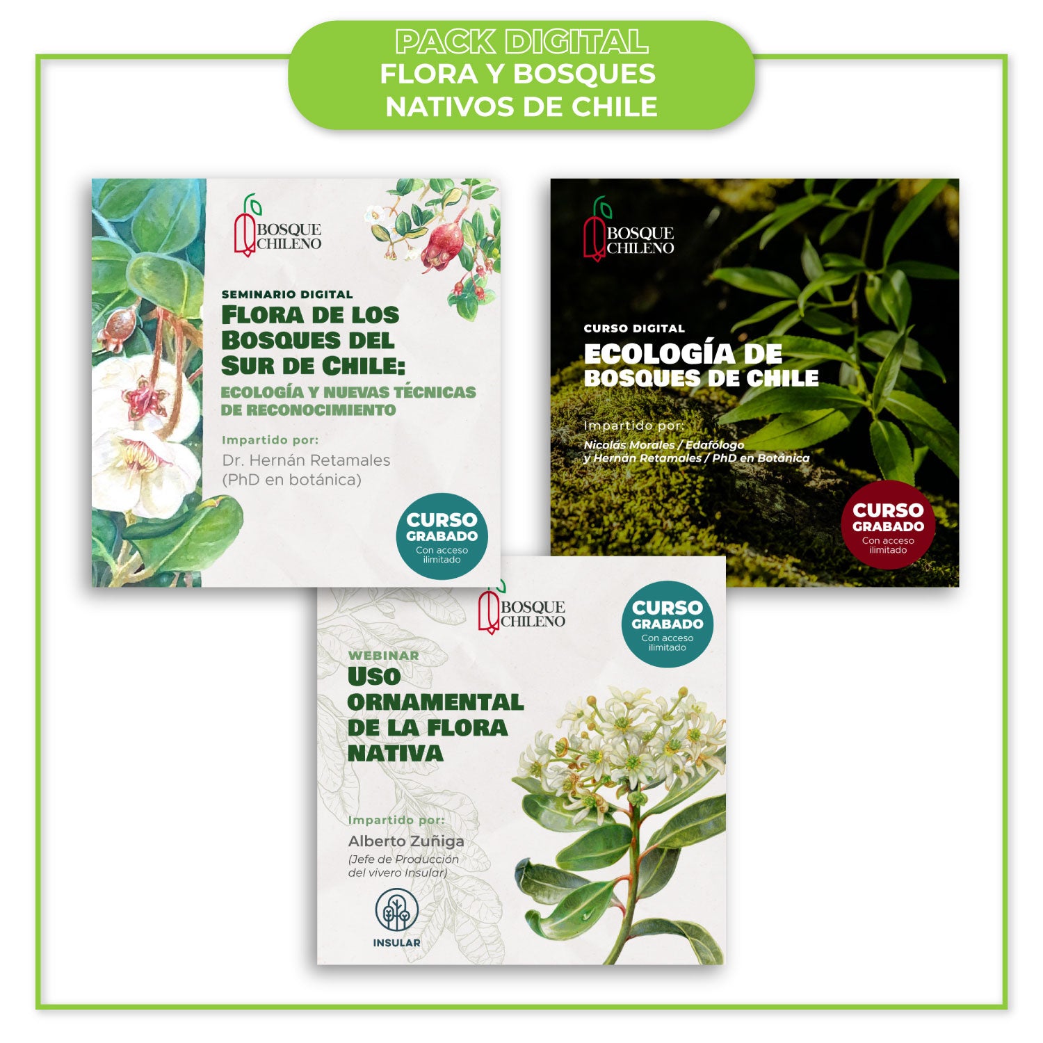 Pack de cursos digitales: Flora y bosques de Chile