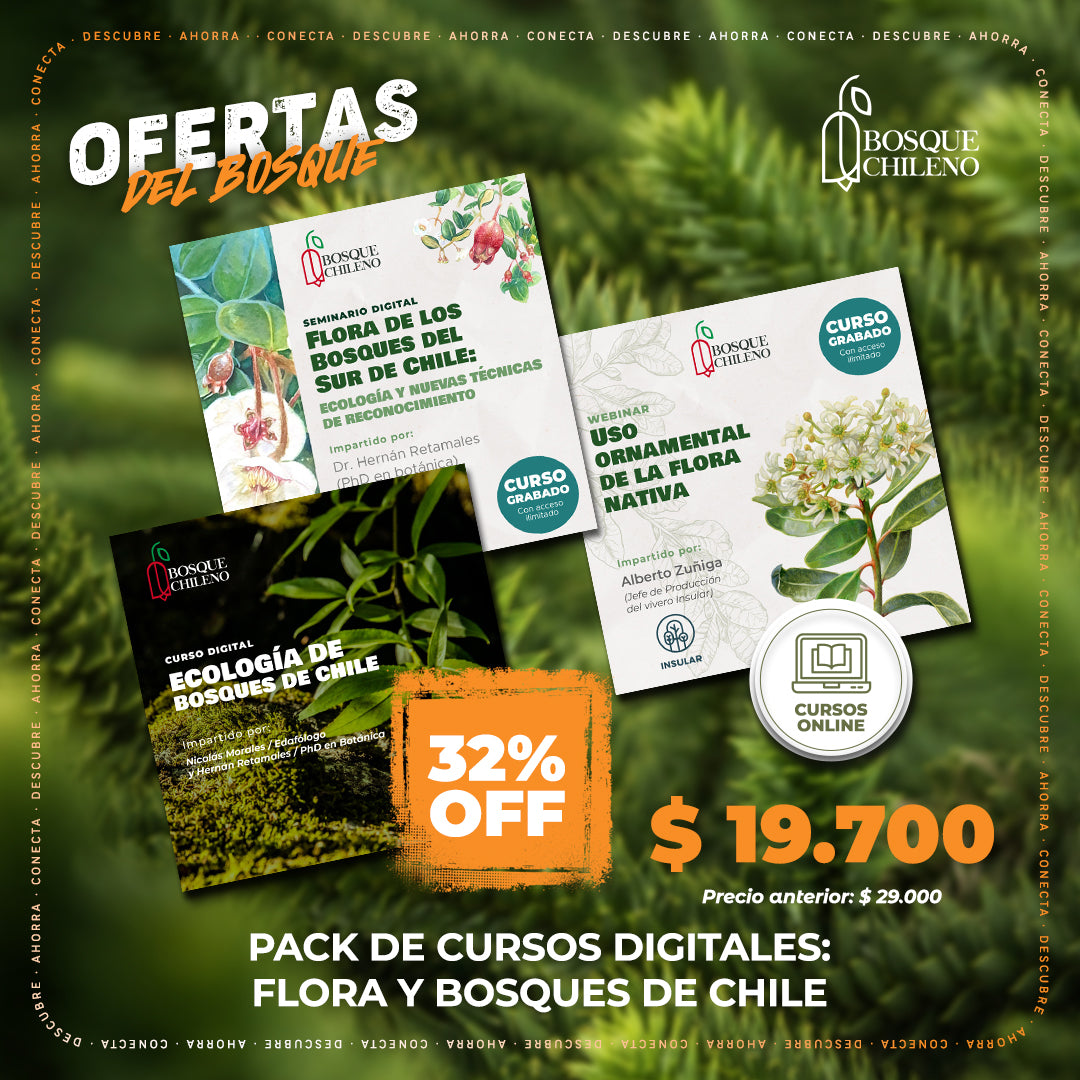 Pack de cursos digitales: Flora y bosques de Chile