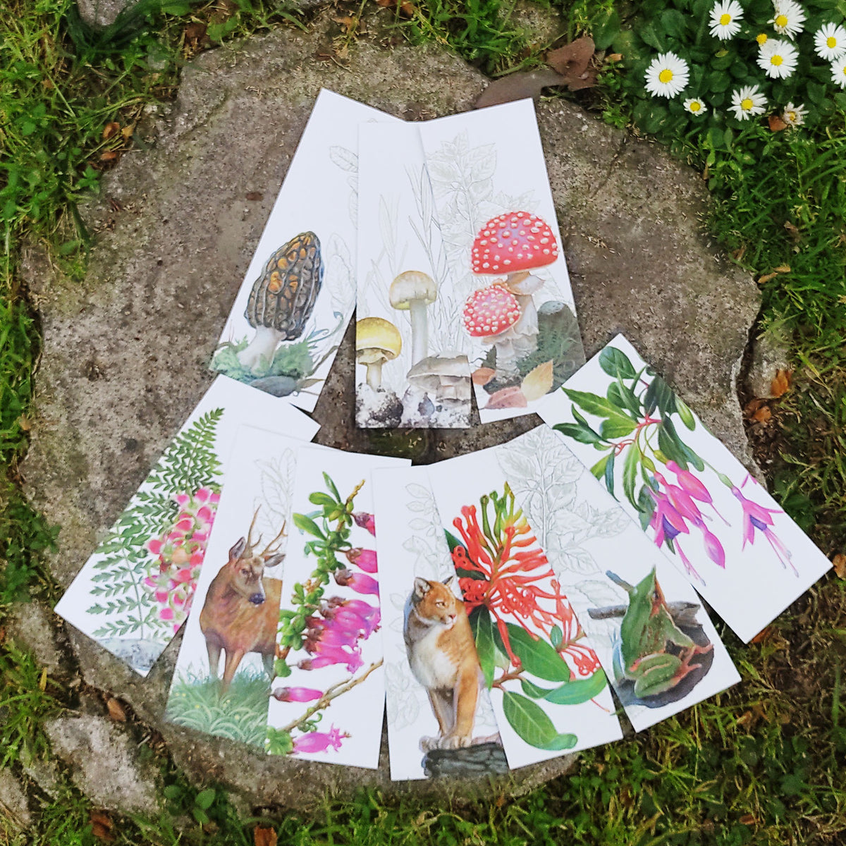 Fichas Bosque Chileno - Pack de 10 unidades