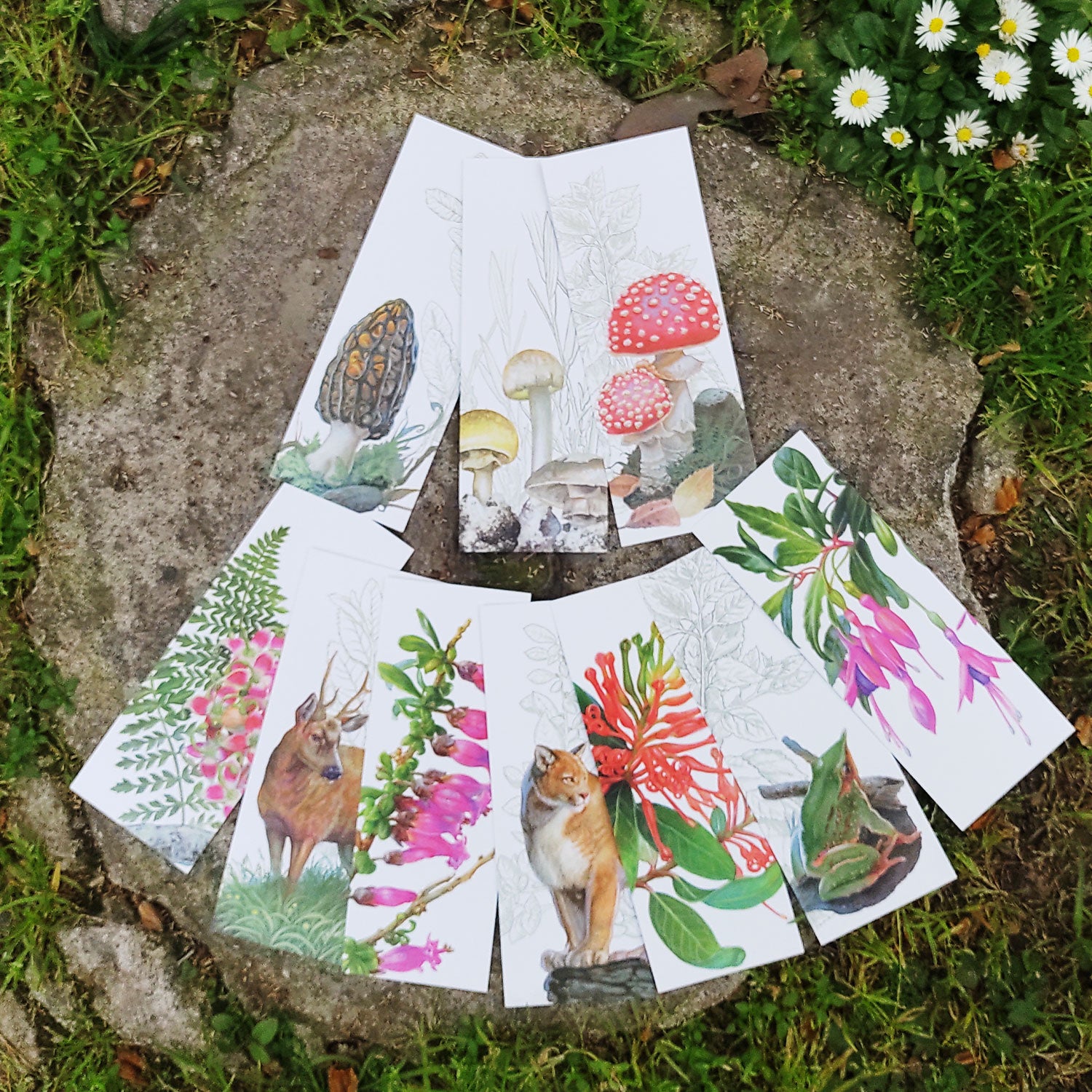 Fichas Bosque Chileno - Pack de 10 unidades