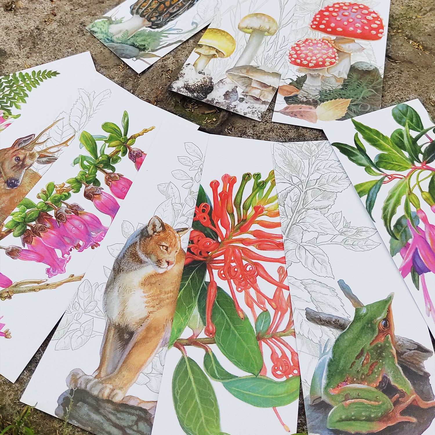 Fichas Bosque Chileno - Pack de 10 unidades