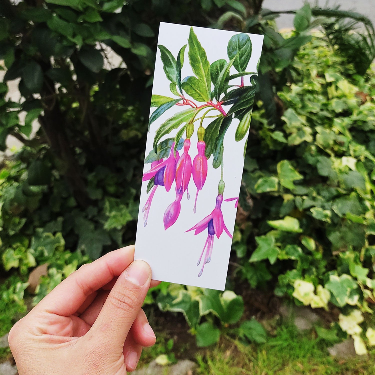Fichas Bosque Chileno - Pack de 10 unidades