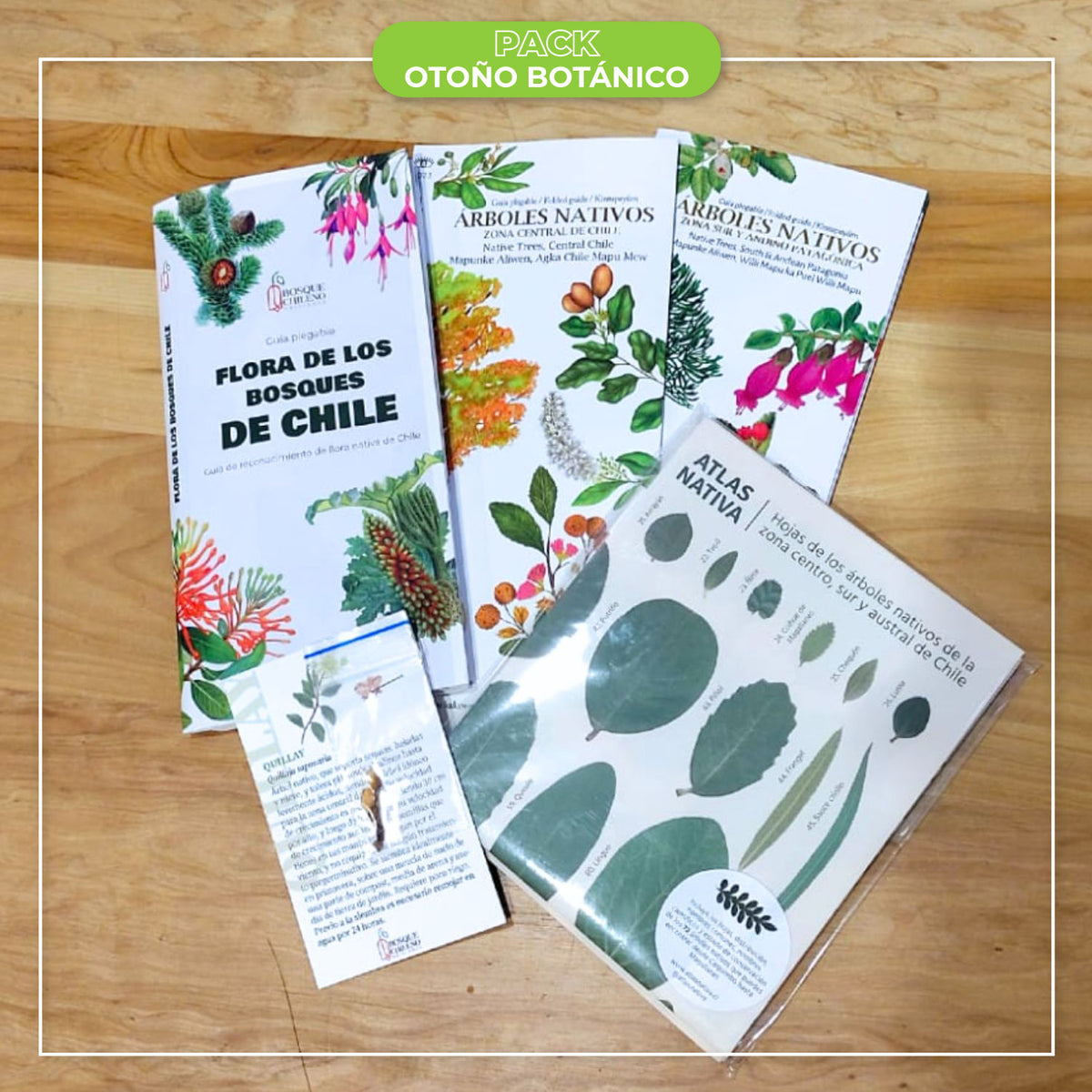 Pack Primavera Botánica