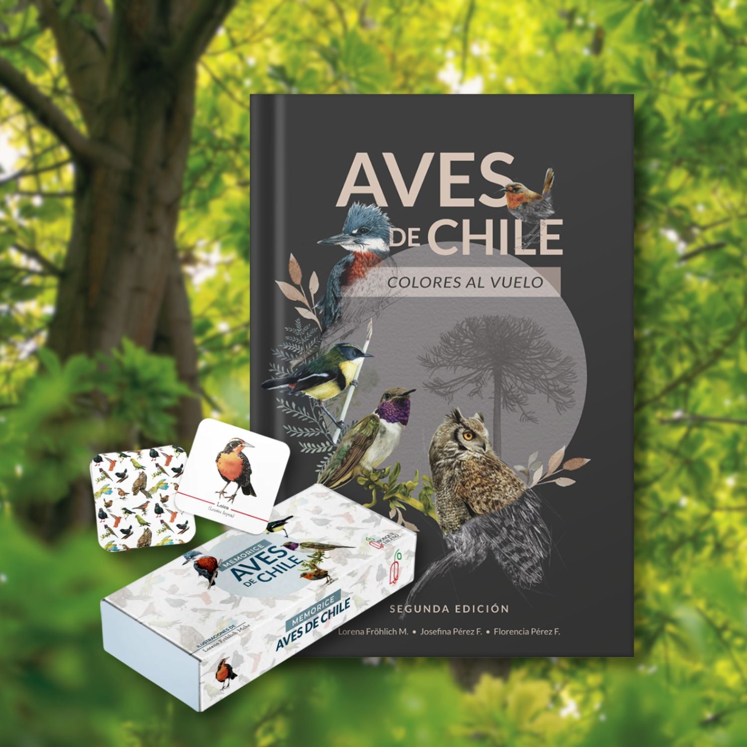 Pack Avifauna Chilena